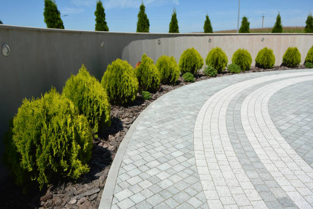 Best Local Driveway Pavers  in Grapeland, TX